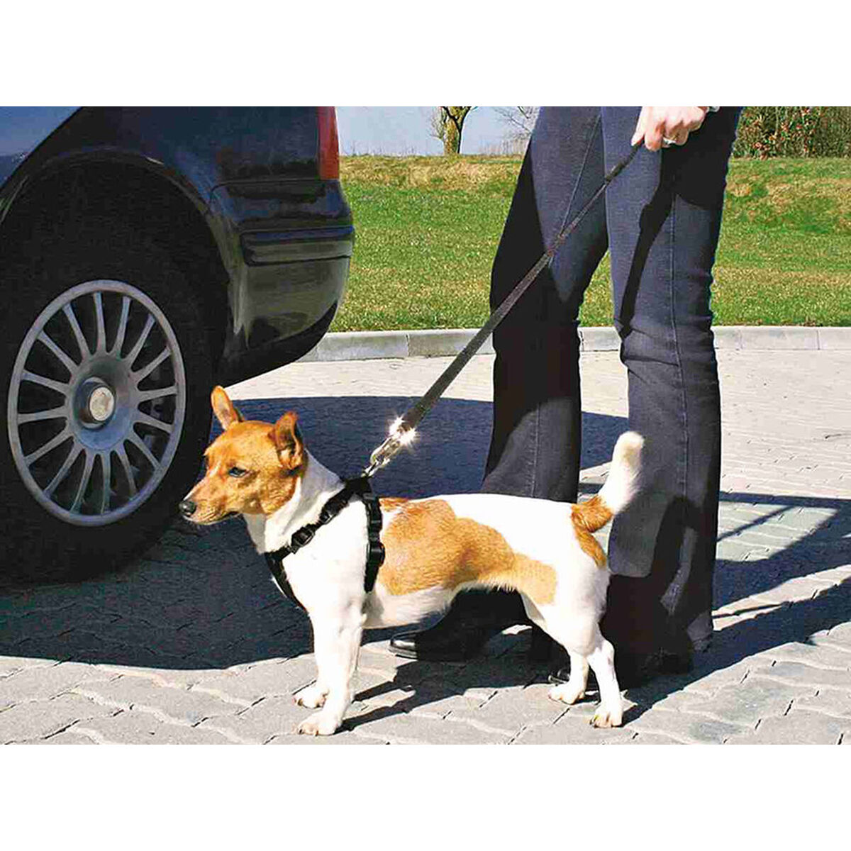 Hundesele Trixie Sort